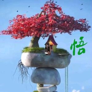 刘氓故事头像