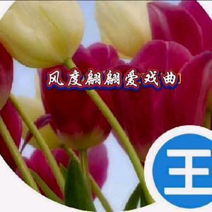 风度翩翩爱戏曲头像