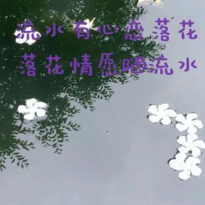 流水有心恋落花🌸头像