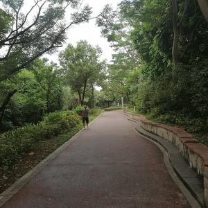 小洪爆笑头像