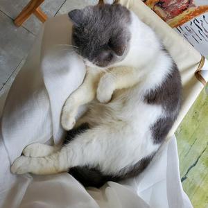 塘沽大冬头像