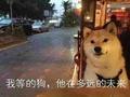 V核桃V头像