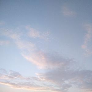 每天每人头像
