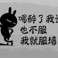 率真正义凛然宇宙x7头像