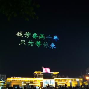 阿呆与阿瓜头像