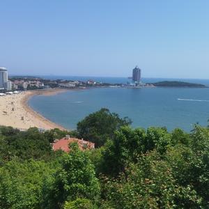 蝴蝶悠悠在青岛头像