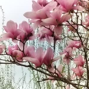 我的个人看法头像