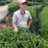 飘香茗茶坊头像