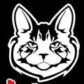 爱创心缅因猫舍头像
