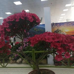 💞༊🌺ꦿ꯭生꧔ꦿ᭄💞头像