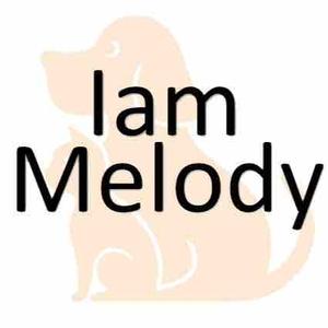 IamMelody头像