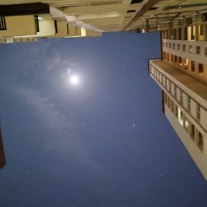 无聊的杂文头像