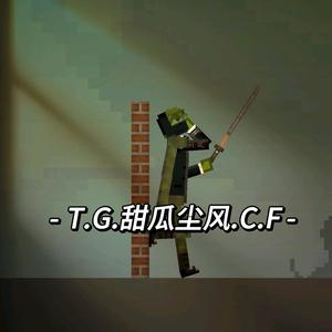 -<꧁T.G.甜瓜尘风.C.F꧂>-头像