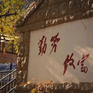 雨中滋养新绿头像
