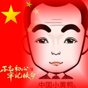 中国小黄鸭头像