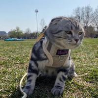 是是是老赵啊头像