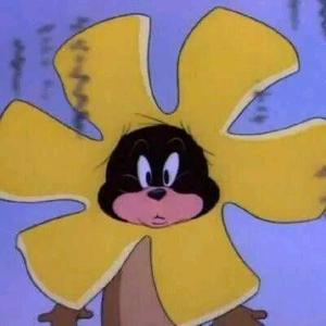堡贝z