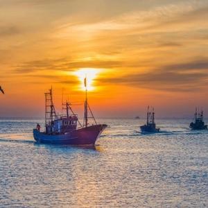 淘气的小螃蟹 头像