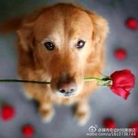 爱笑蓝天7u3头像