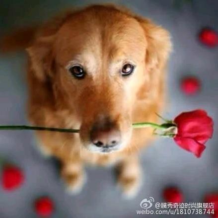 爱笑蓝天7u3头像