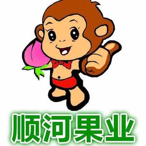 顺河水果头像