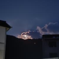 是林宥嘉啊头像