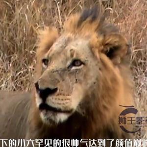 莫西干魔神撒旦 头像