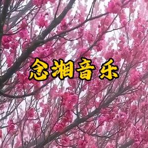 念湘音乐头像