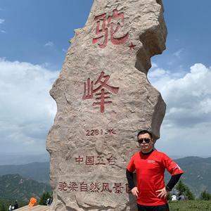投影大亨在河北头像