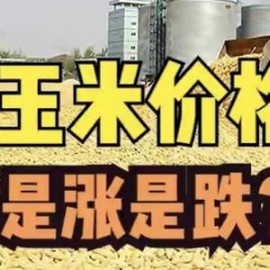 农业达观论头像