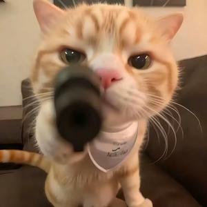 生活边角料头像