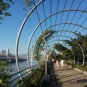 轻风微尘t头像