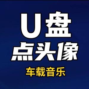 无损车载U盘头像