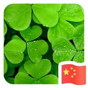 高氏影视头像