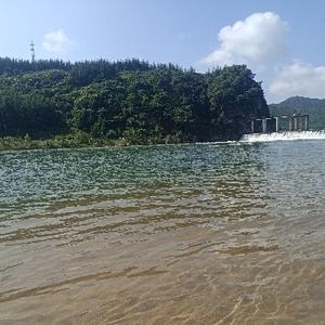 不会音乐财经头像