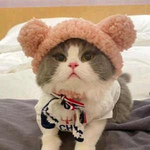 皇岗口岸送关员Qiu瑞瑞导游头像