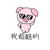酷酷猪n8L头像