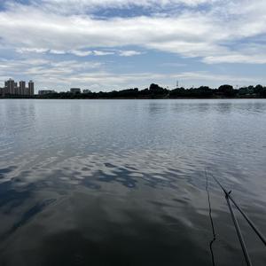 火锅呢3Z6L头像