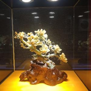 游客南哥哥头像