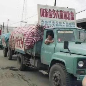 大蒜行情每日报价头像