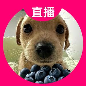 番茄1407812666143768头像