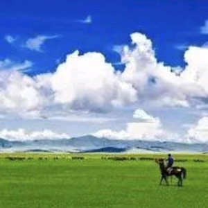 一剑横天0B8T头像