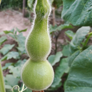 点点滴滴头像