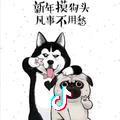 折月煮酒头像