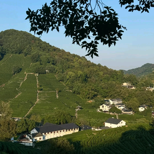 女装档口集合店（一批的价格）头像