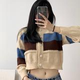椿树下csx头像