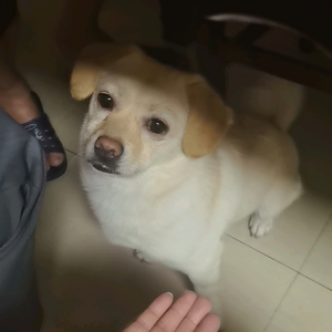 帅晕邻家妹妹头像