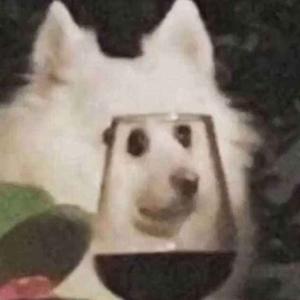 是释不是柿s头像