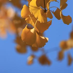 爆发力剪辑 头像