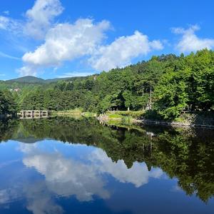 心远地自偏悠然见南山头像